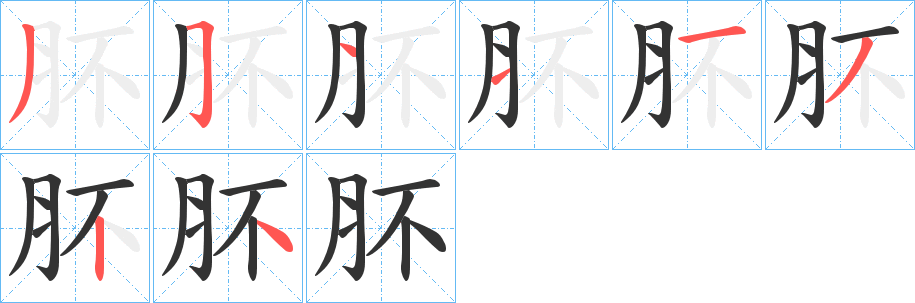 肧的筆順筆畫