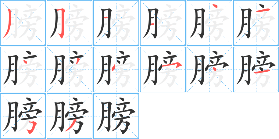 膀的筆順筆畫