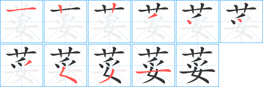 荽的筆順筆畫