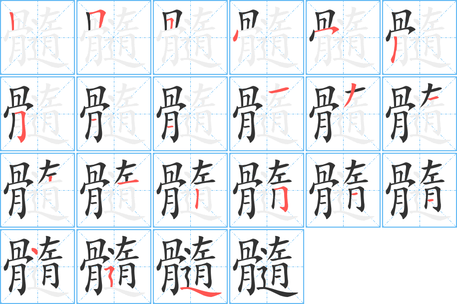 髓的筆順筆畫